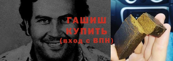 ГАЛЛЮЦИНОГЕННЫЕ ГРИБЫ Гусев