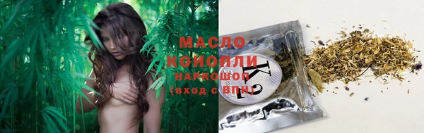 стаф Гусь-Хрустальный
