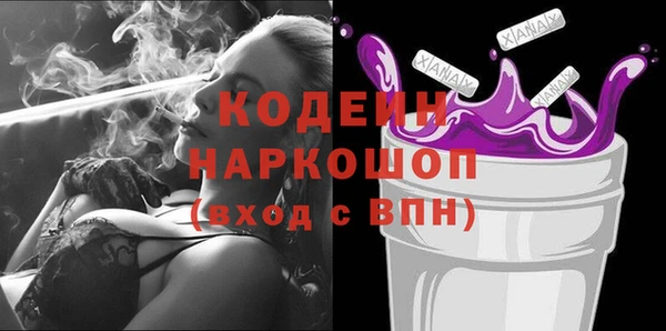 стаф Гусь-Хрустальный
