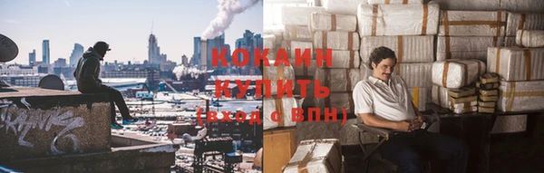 стаф Гусь-Хрустальный