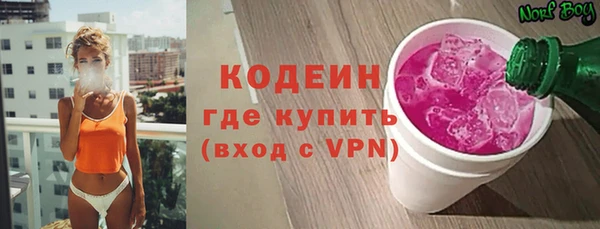 ГАЛЛЮЦИНОГЕННЫЕ ГРИБЫ Гусев
