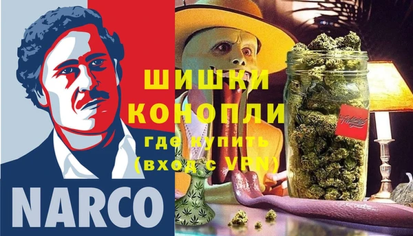 ГАЛЛЮЦИНОГЕННЫЕ ГРИБЫ Гусев