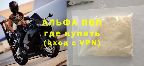 ГАЛЛЮЦИНОГЕННЫЕ ГРИБЫ Гусев
