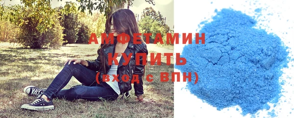 ГАЛЛЮЦИНОГЕННЫЕ ГРИБЫ Гусев