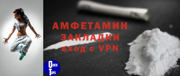 стаф Гусь-Хрустальный