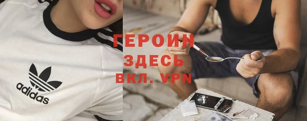 стаф Гусь-Хрустальный