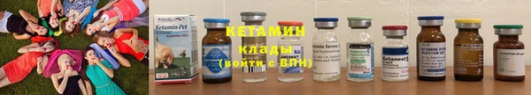 ГАЛЛЮЦИНОГЕННЫЕ ГРИБЫ Гусев