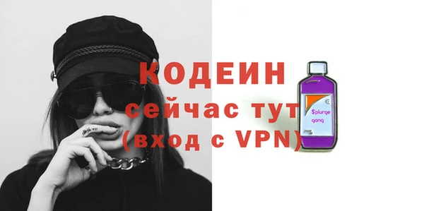ГАЛЛЮЦИНОГЕННЫЕ ГРИБЫ Гусев