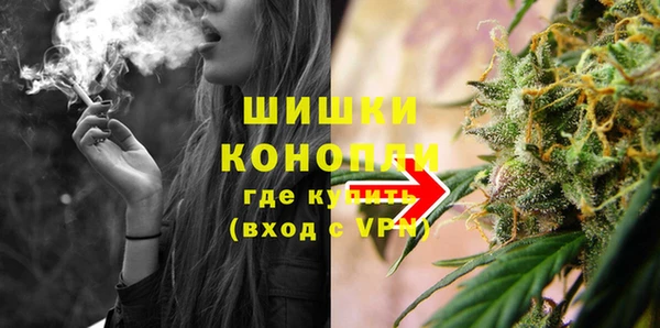 стаф Гусь-Хрустальный