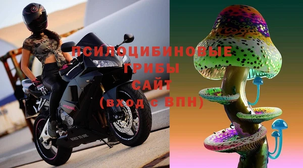 ALPHA PVP Гусиноозёрск