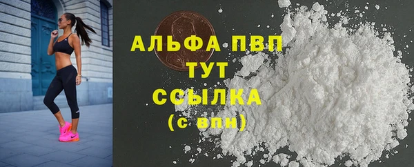 стаф Гусь-Хрустальный