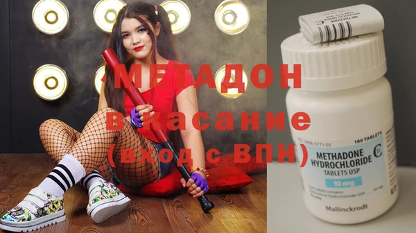 ГАЛЛЮЦИНОГЕННЫЕ ГРИБЫ Гусев