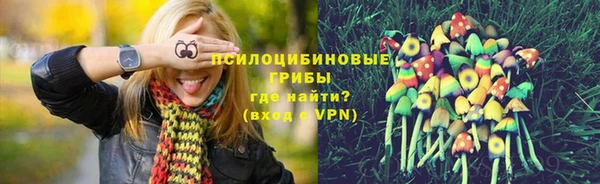ГАЛЛЮЦИНОГЕННЫЕ ГРИБЫ Гусев