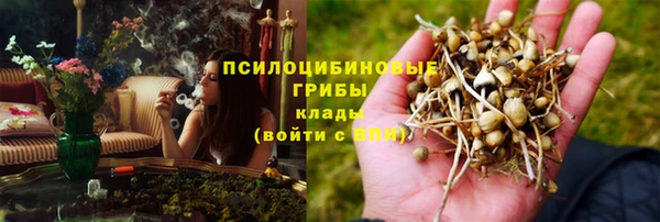 ГАЛЛЮЦИНОГЕННЫЕ ГРИБЫ Гусев