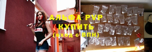 ГАЛЛЮЦИНОГЕННЫЕ ГРИБЫ Гусев